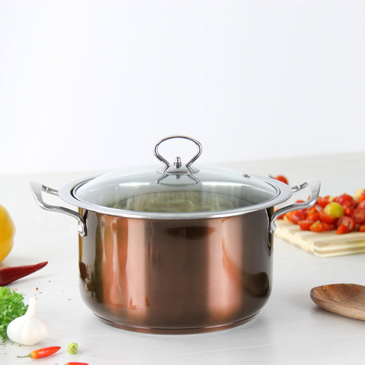 Stainless Steel Stockpot - Induction Base - AXINITE - 22cm